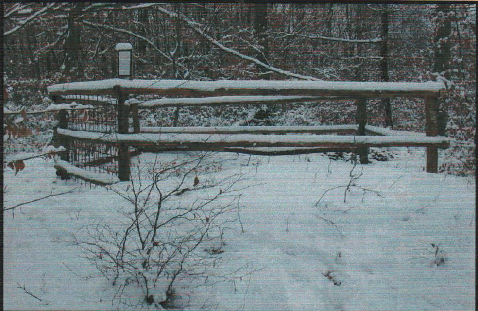 Brunnen auf der Mauerhalde